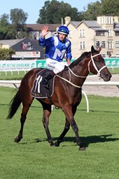 Winx Back in Action at Rosehill Gardens Winx Back in Action at Rosehill Gardens