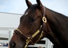 Tom McGreevy scouting prospects at Keeneland