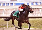 Imperial Hint comes home strong to take the General George