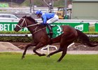 Winx Soars to Fifteenth Straight Win Winx Soars to Fifteenth Straight Win