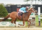 Ronnie Allen Jr. guides Spanish Concert to victory in this year's Minaret Stakes at Tampa Bay Downs