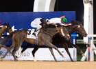 Nashmiah (inside) wins the 2017 UAE 1,000 Guineas