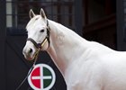 Tapit's fee will remain unchanged for the 2018 season