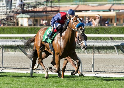Miss Sunset wins the 2017 Sweet Life Stakes