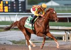Lambholm South Holy Bull Stakes winner Irish War Cry could return in the Wood Memorial
