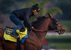 Champion sprinter Drefong working at Santa Anita Park