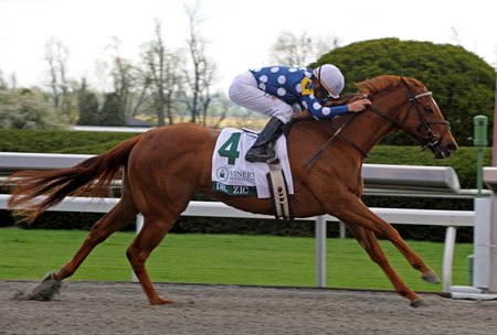 Dr. Zic is looking for her first win since the 2010 Vinery Madison Stakes.<br><a target="blank" href="http://www.bloodhorse.com/horse-racing/photo-store?ref=http%3A%2F%2Fpictopia.com%2Fperl%2Fgal%3Fprovider_id%3D368%26ptp_photo_id%3D8882888%26ref%3Dstory">Order This Photo</a>