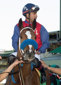 Miss Sunset wins the 2017 Sweet Life Stakes