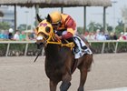 Curlin's Approval wins the 1 1/16-mile Royal Delta Stakes at Gulfstream Park