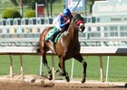 Grade 2 Winner Iliad Retired Grade 2 Winner Iliad Retired