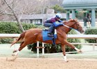 Gun Runner - Oaklawn Park - Feb. 13, 2017