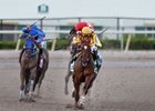 Irish War Cry wins the 2017 Holy Bull