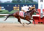 One Liner Laughs Last in Southwest Stakes Victory One Liner Laughs Last in Southwest Stakes Victory