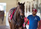 Tepin Refuses to Work March 27 at Palm Meadows Tepin Refuses to Work March 27 at Palm Meadows
