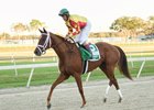 Isabella Sings after winning the Feb. 11 Lambholm South Endeavour Stakes (G3T) at Tampa Bay Downs