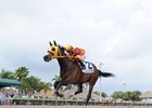 Curlin's Approval wins the 2017 Royal Delta Stakes