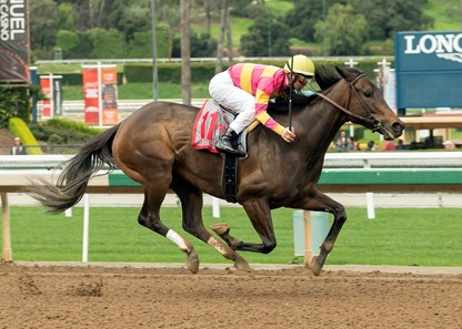Wild At Heart wins the 2017 Buena Vista Stakes