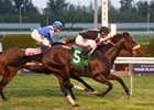 Delta Prince wins a Feb. 18 allowance at Gulfstream by a neck