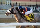 El Areeb draws clear under a hand ride in the Feb. 4 Withers