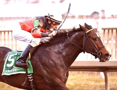Imperial Hint wins the 2017 General George Stakes