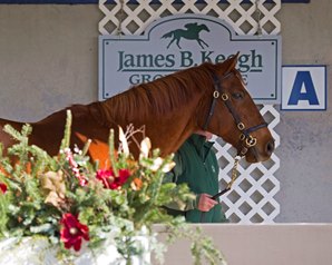 Fasig-Tipton Supplemental Entries Should Prove Popular