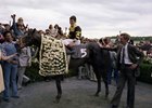 Seattle Slew in the Winner's Circle after the 1977 Belmont Stakes