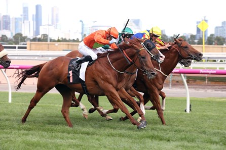 Terravista wins the 2017 Black Caviar Lightning Stakes