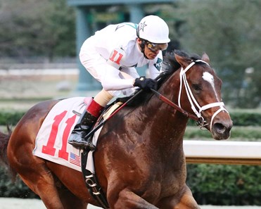 One Liner wins the 2017 Southwest Stakes (G3)