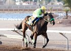 Conquest Mo Money wins the 2017 Mine That Bird Derby