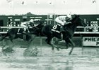 Look Back: Broad Brush's Wild Pennsylvania Derby Win Look Back: Broad Brush's Wild Pennsylvania Derby Win