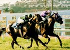 The Barking Shark, rail, finishing second in the 1996 La Jolla H. at Del Mar