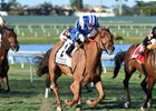 Almanaar wins the 2017 Gulfstream Park Turf Handicap