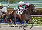 Tequilita broke through in the Forward Gal and looks to extend her winning distance
