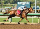 Denman's Call wins the 2017 Triple Bend Stakes