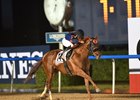Mind Your Biscuits Wears Bull's-Eye in Belmont Sprint Mind Your Biscuits Wears Bull's-Eye in Belmont Sprint