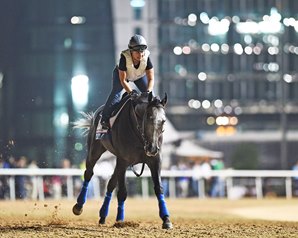 Arrogate Brings Baffert Back to World Cup