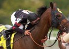 Look Back: Ghostzapper Turned Heads in 2004 Debut Look Back: Ghostzapper Turned Heads in 2004 Debut