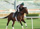 Long On Value trains at Meydan March 20