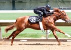 Tapit Colt Tops Barretts Hips to Watch Tapit Colt Tops Barretts Hips to Watch