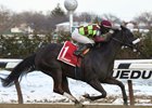 Spartiatis wins the 2017 Tom Fool