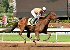Santa Anita Handicap contender follow Me Crev