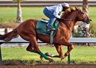 Dortmund works at Los Alamitos Race Course March 5