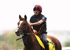 Decorated Knight will try for his third grade 1 win in the Coral–Eclipse Stakes
