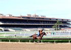 Barretts sale horses work over the track at Del Mar
