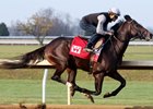 McCraken Stretches Out in Keeneland Work McCraken Stretches Out in Keeneland Work