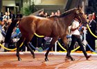 The 3-year-old Hussonet gelding topped the sale at HK$10.5 million