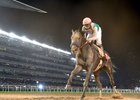 Arrogate soars clear in the Dubai World Cup