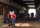 A barn at the Lexington Thoroughbred Center