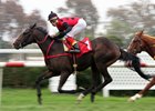 Vinocrata winning the Luis Subercaseaux Stakes at Club Hipico de Santiago