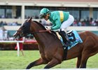 Ticonderoga wins the 2017 Palm Beach Stakes